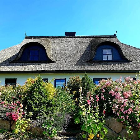 Villa Insel Landhaus Bernstein à Gager Extérieur photo