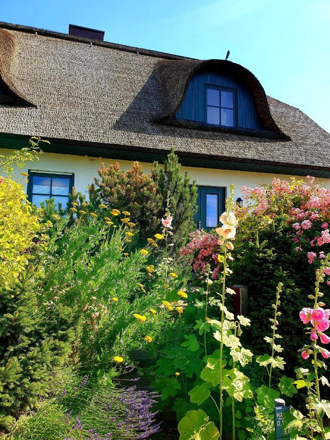 Villa Insel Landhaus Bernstein à Gager Extérieur photo